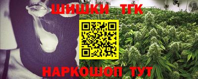 apvp Гусев