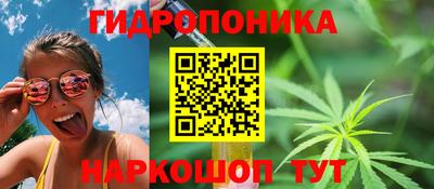 сатива Гусиноозёрск