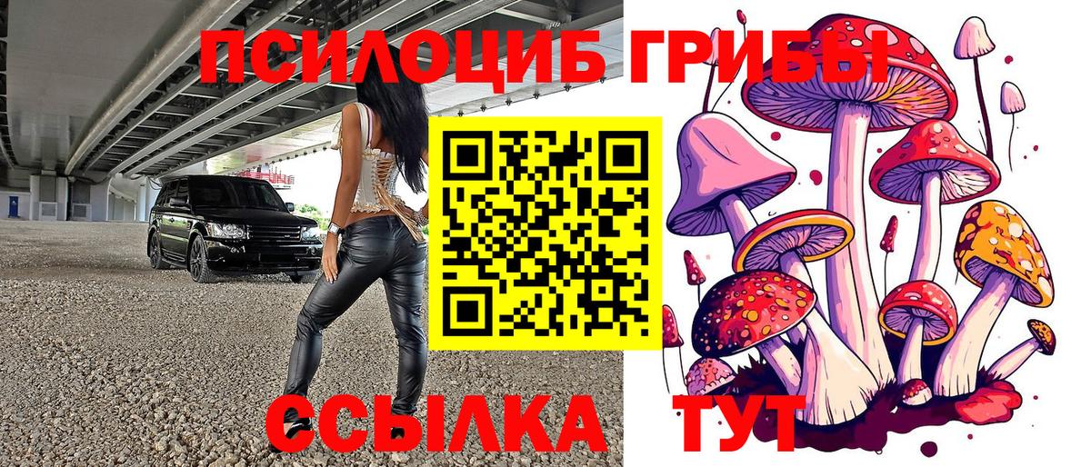 Псилоцибиновые грибы MAGIC MUSHROOMS Орехово-Зуево