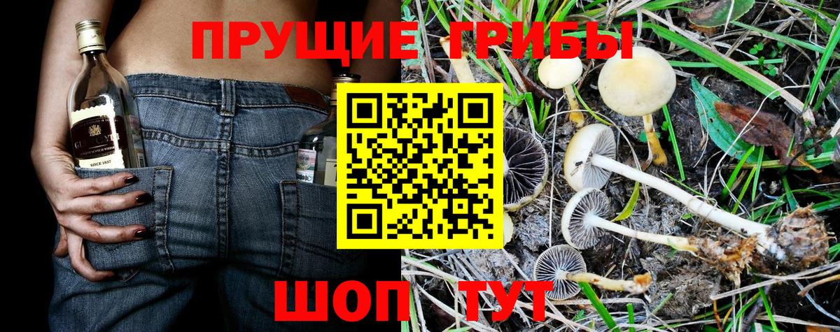 Галлюциногенные грибы мухоморы  Псилоцибиновые грибы ЛСД  Вход с VPN  Орехово-Зуево 